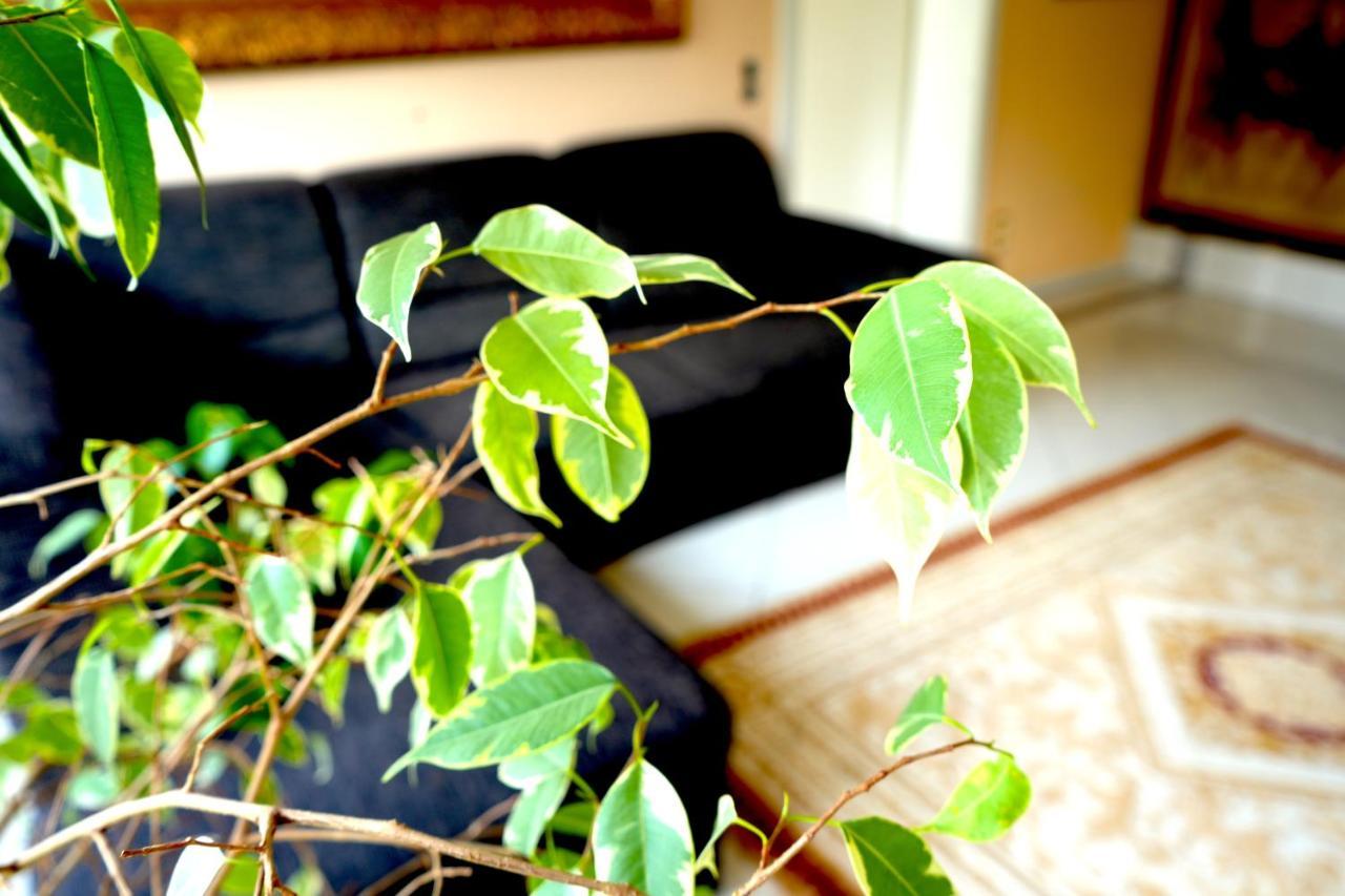 Oslip Dreamly Suites מראה חיצוני תמונה